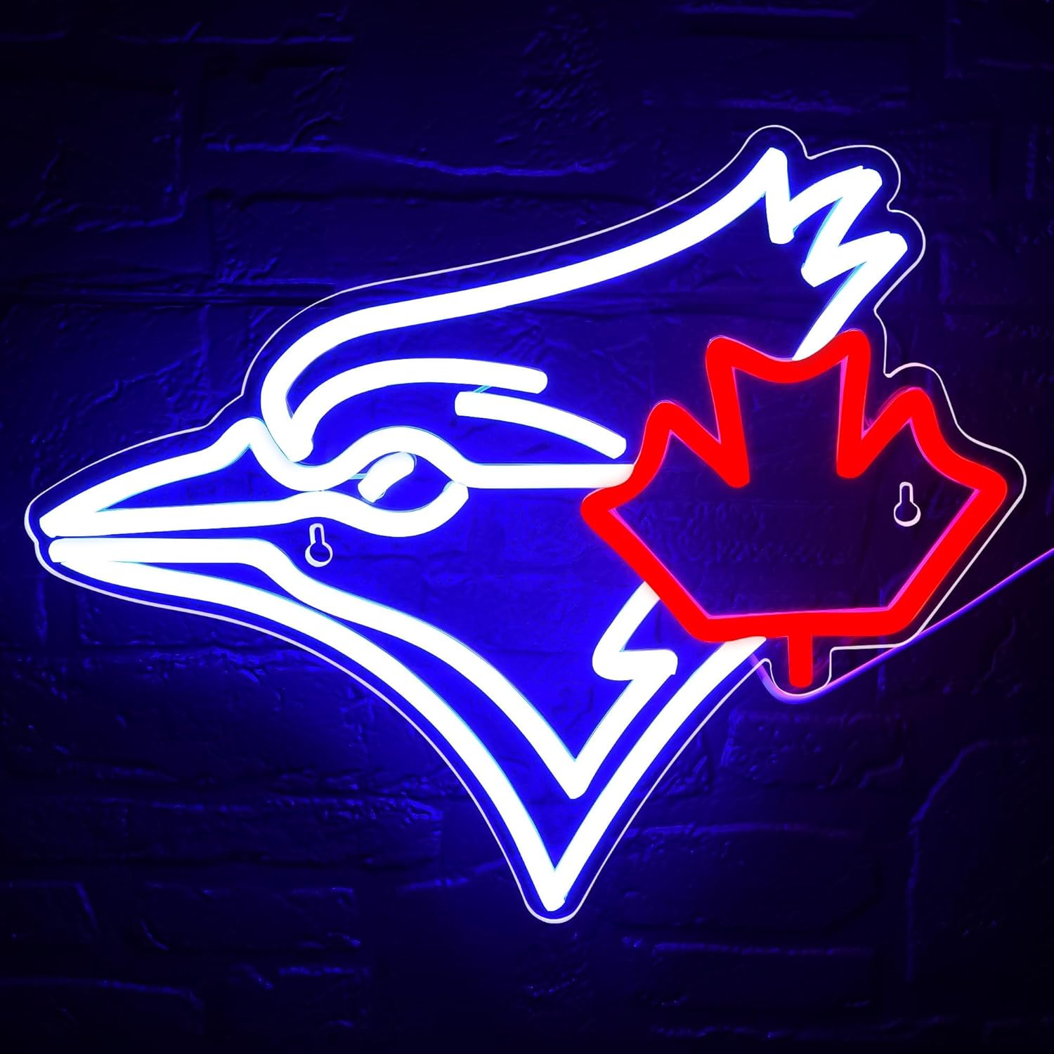 USB Dimmable Blue Jay with Map - Jay Lighting Decor recension och pris