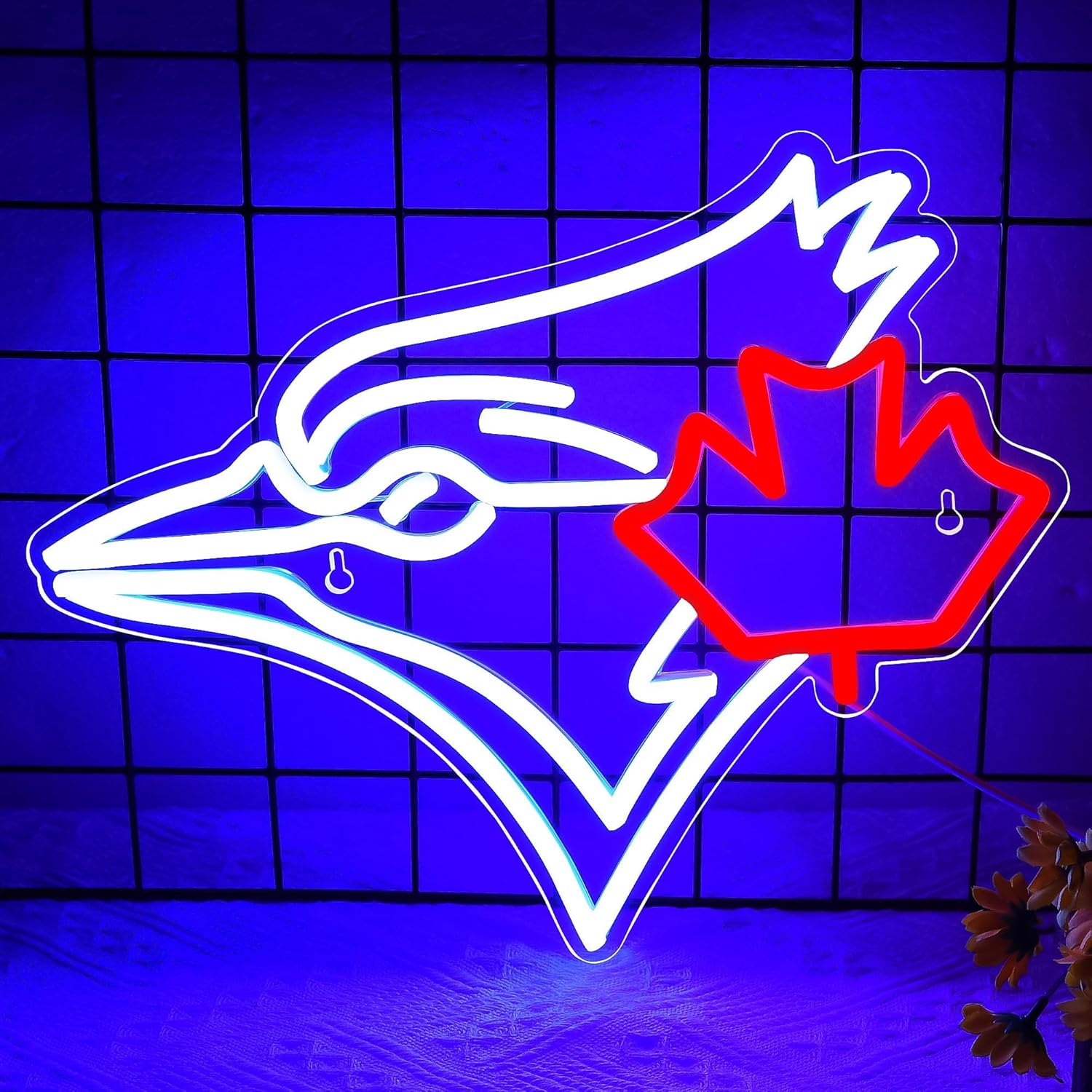 USB Dimmable Blue Jay with Map - Jay Lighting Decor recension och pris